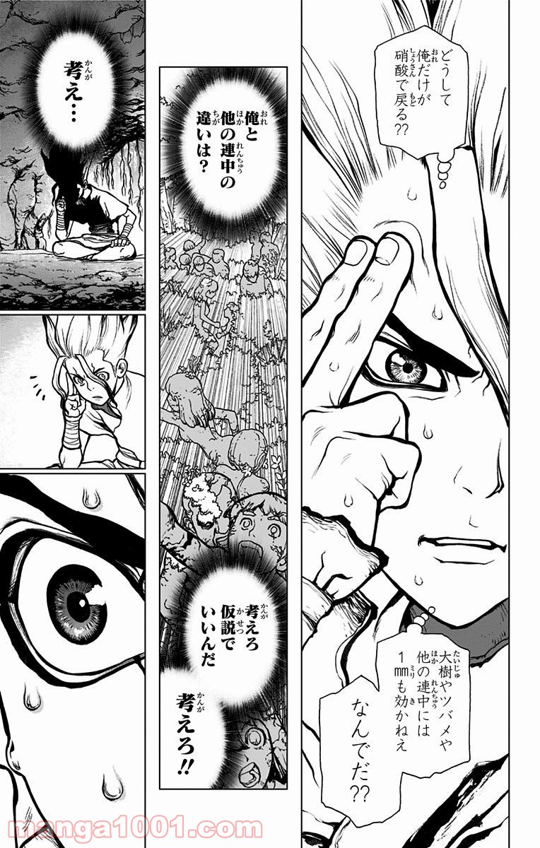 ドクターストーン – DR. STONE - 第14話 - Page 13