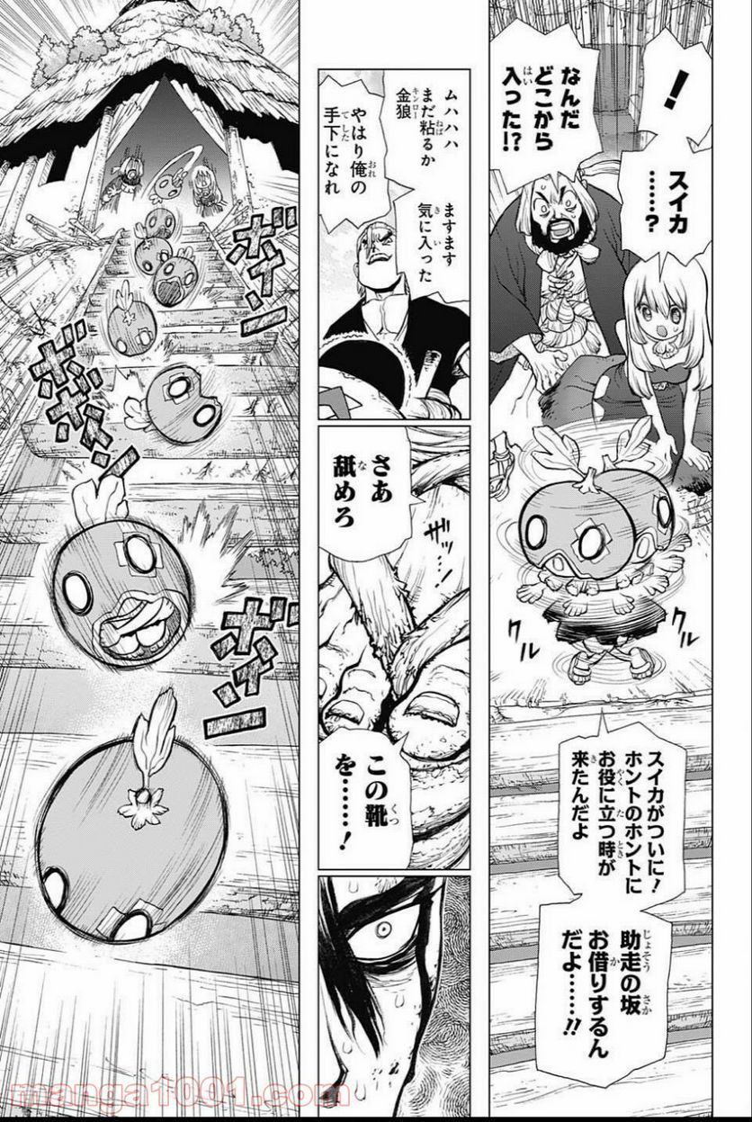 ドクターストーン – DR. STONE - 第35話 - Page 11