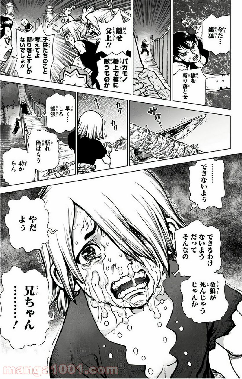 ドクターストーン – DR. STONE - 第46話 - Page 13