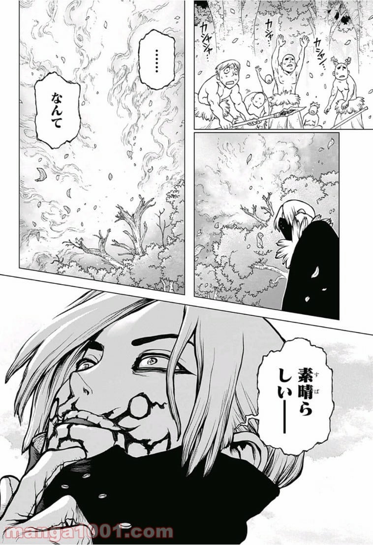 ドクターストーン – DR. STONE - 第78話 - Page 6