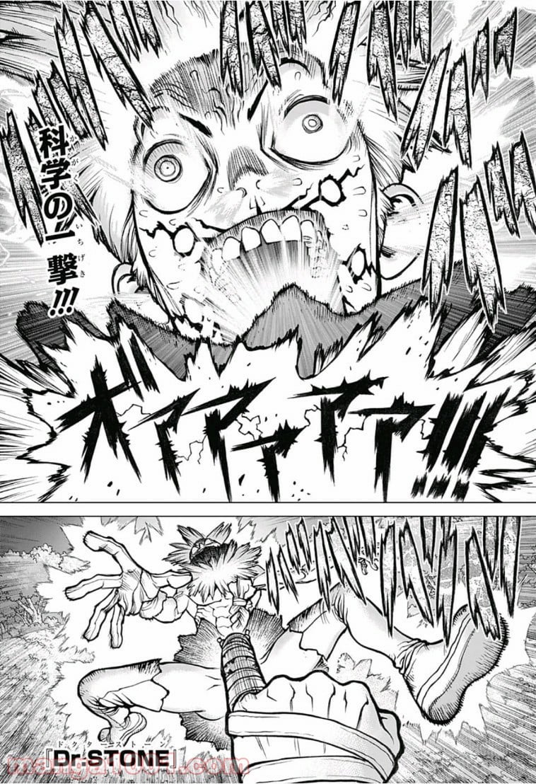 ドクターストーン – DR. STONE - 第82話 - Page 1