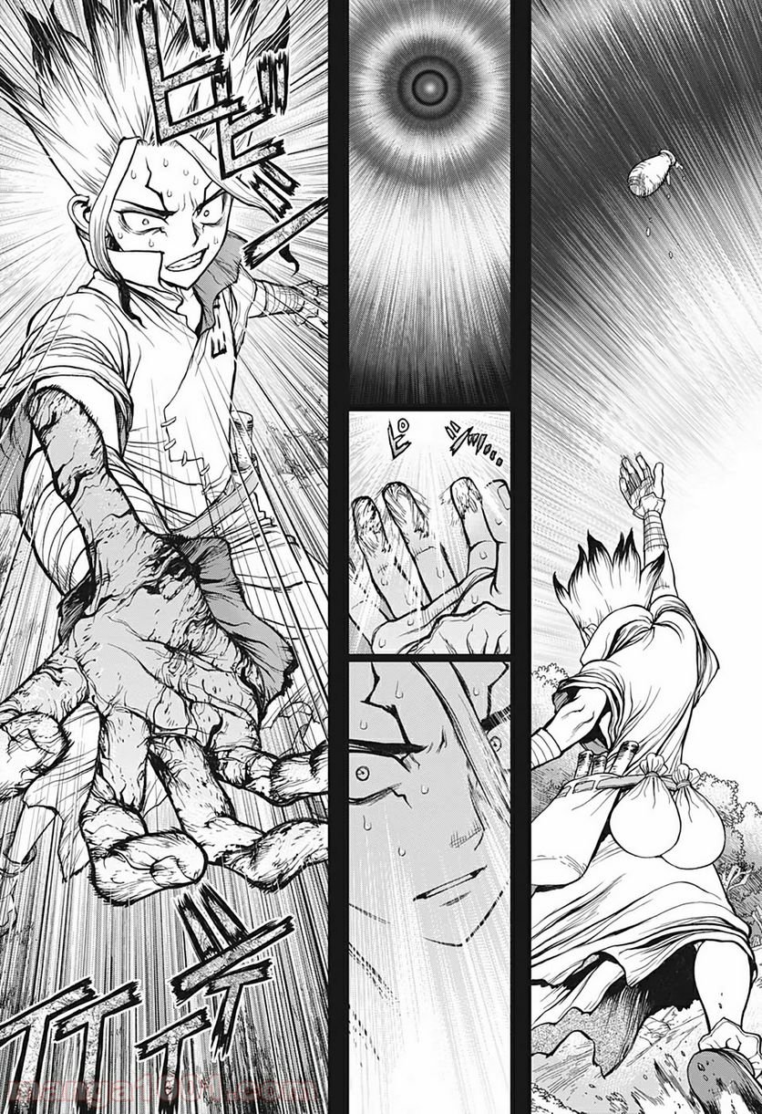 ドクターストーン – DR. STONE - 第135話 - Page 10