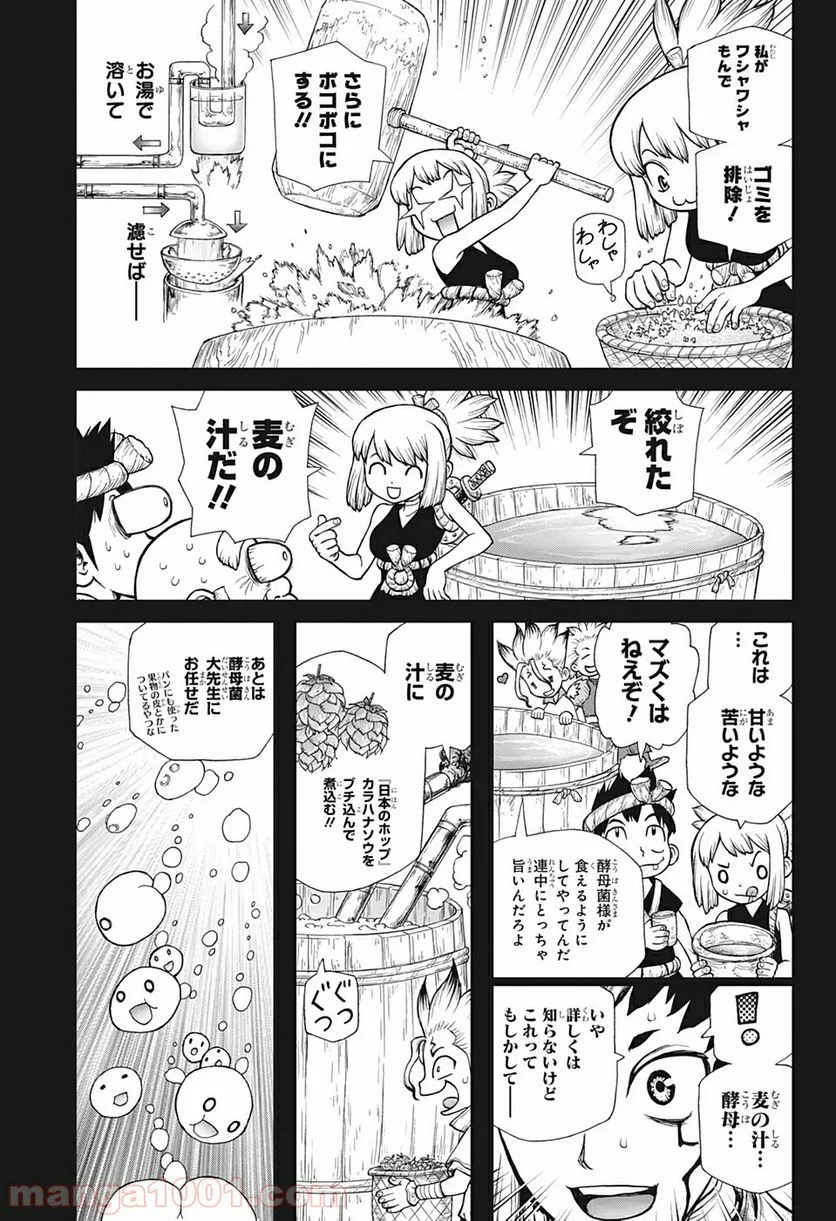 ドクターストーン – DR. STONE - 第146話 - Page 3