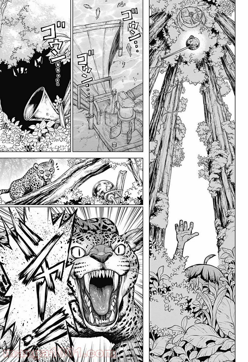 ドクターストーン – DR. STONE - 第194話 - Page 3