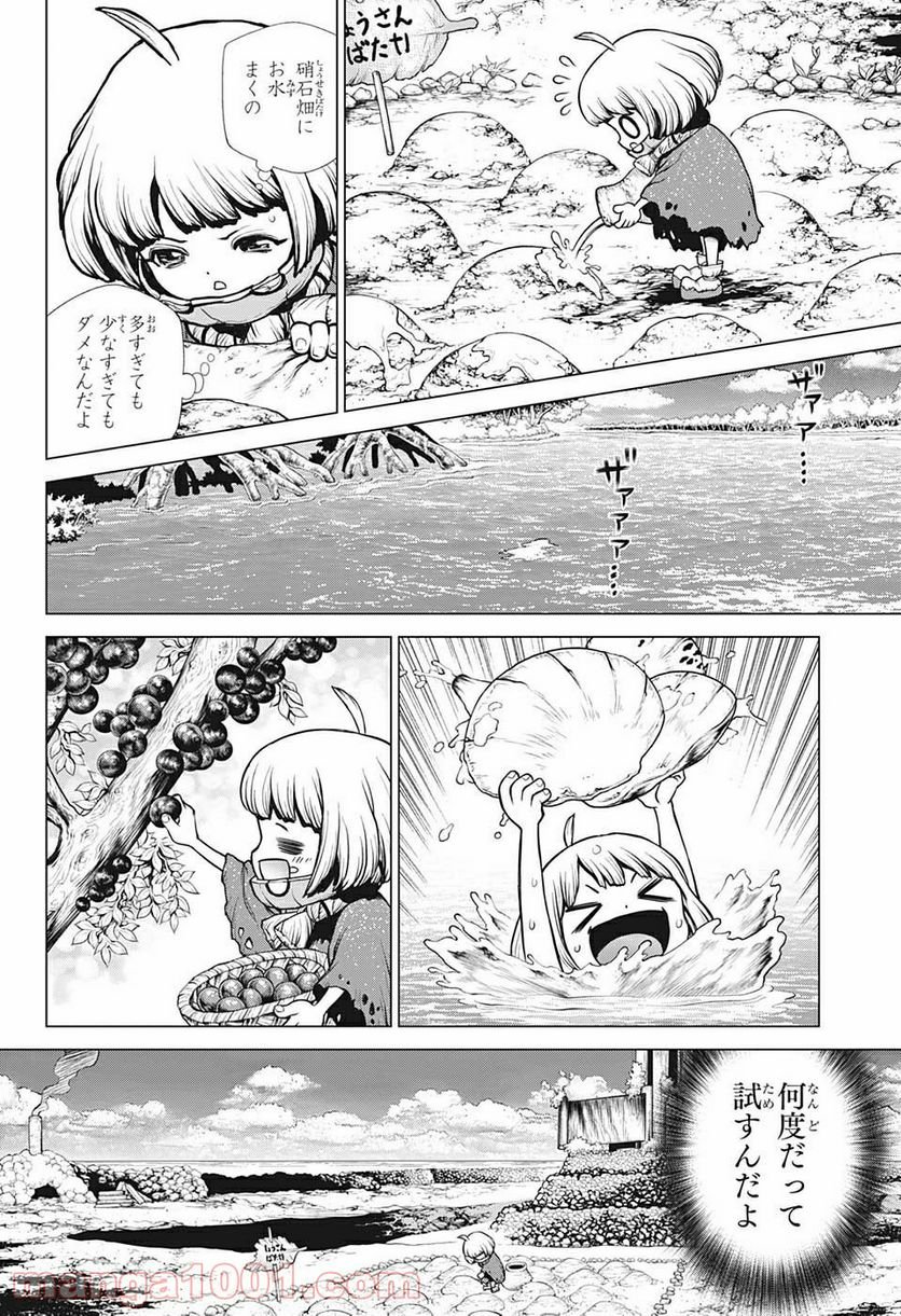 ドクターストーン – DR. STONE - 第196話 - Page 13