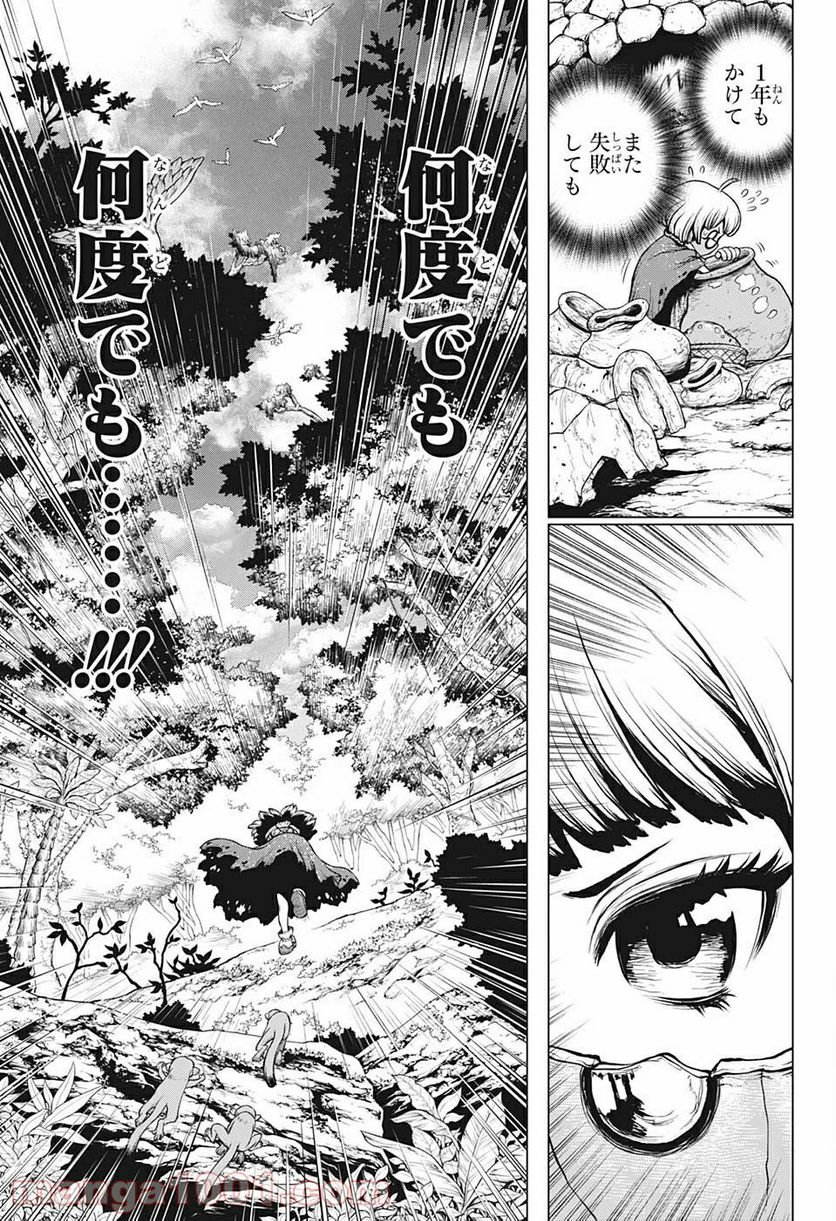 ドクターストーン – DR. STONE - 第196話 - Page 14