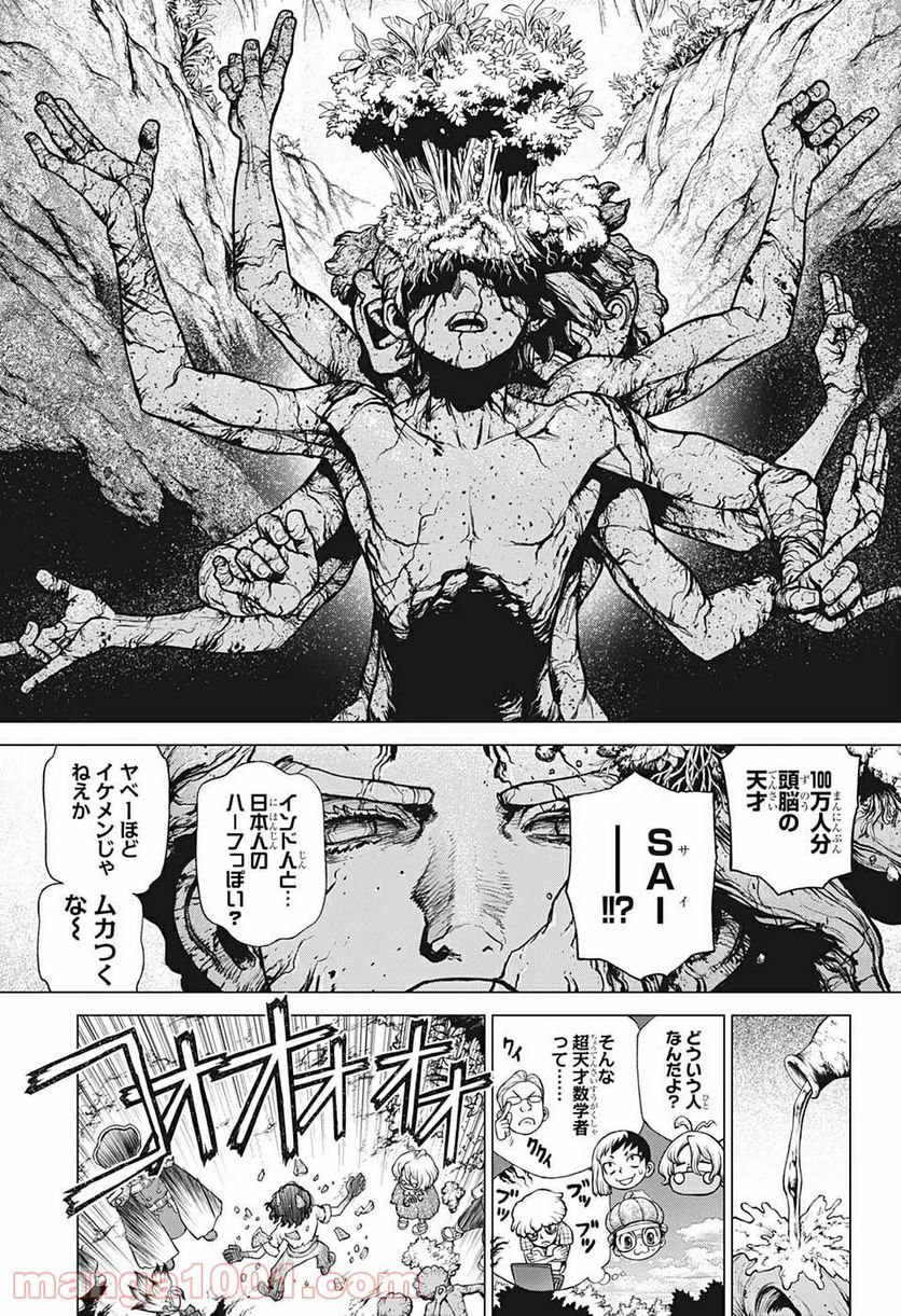 ドクターストーン – DR. STONE - 第204話 - Page 13