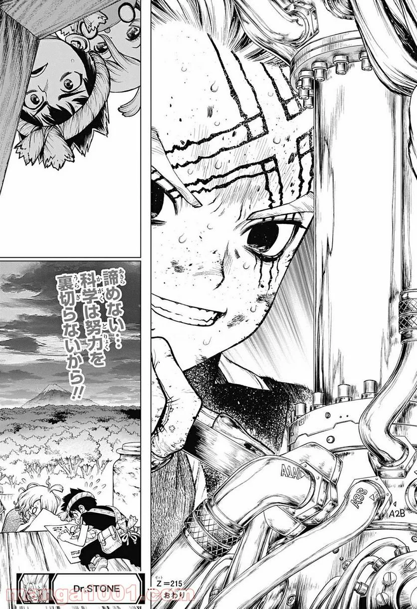 ドクターストーン – DR. STONE - 第215話 - Page 19