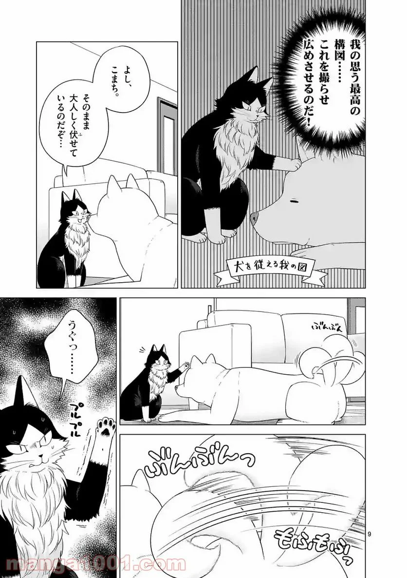 猫のしもべにされまして - 第10話 - Page 9