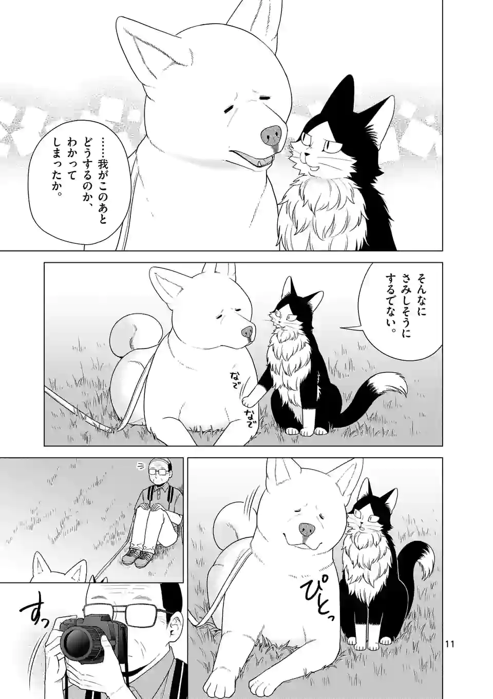 猫のしもべにされまして - 第29話 - Page 11