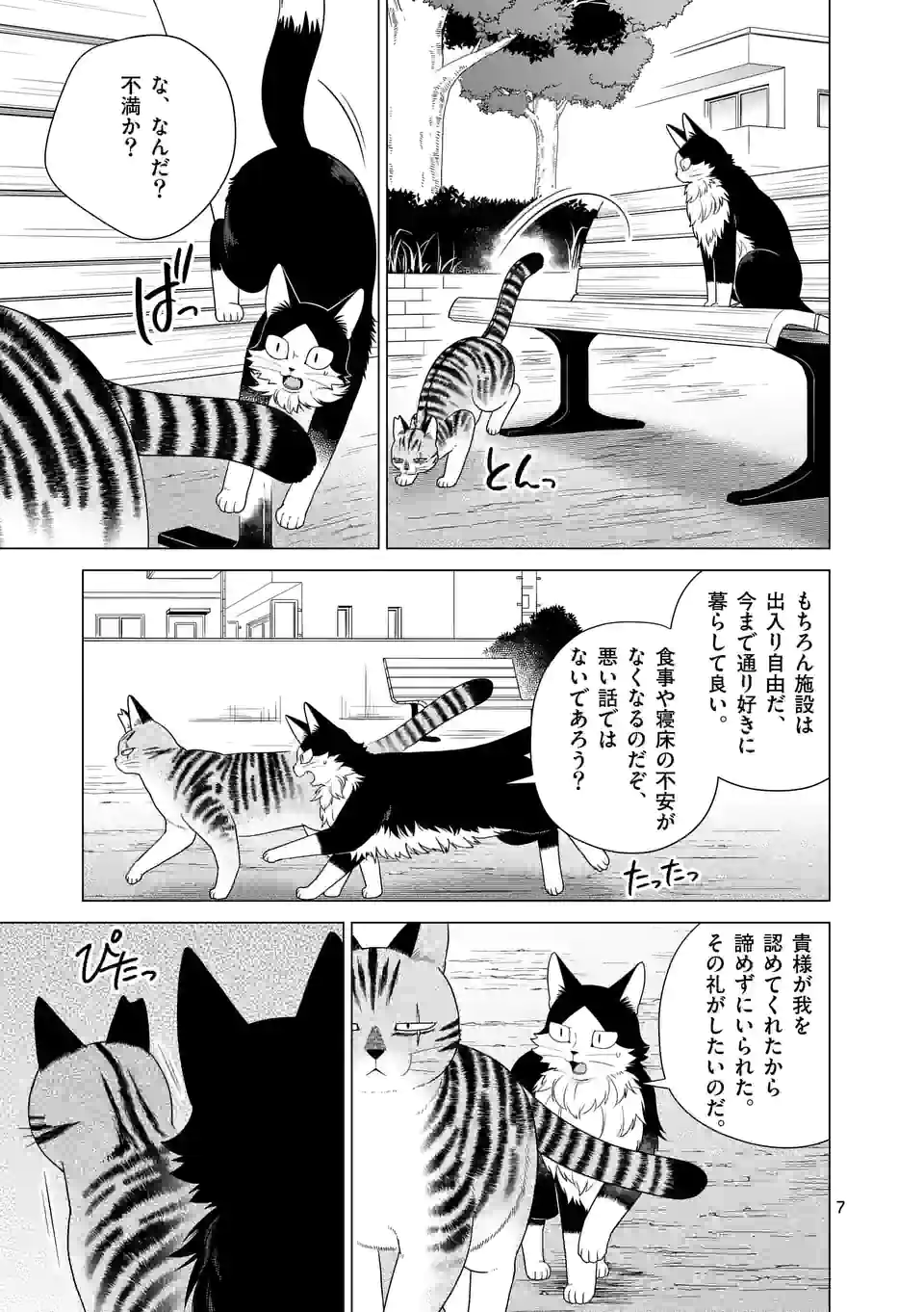 猫のしもべにされまして - 第29話 - Page 7