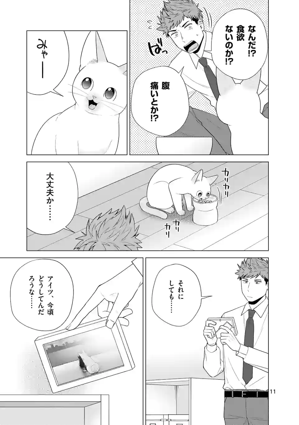 猫のしもべにされまして - 第31話 - Page 11