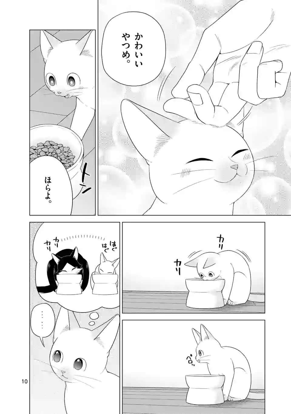 猫のしもべにされまして - 第31話 - Page 10