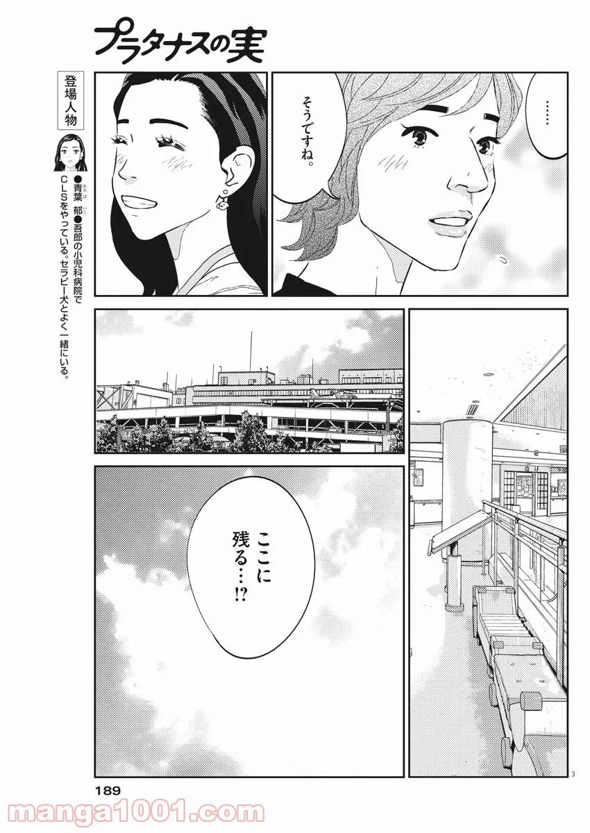 プラタナスの実−小児科医療チャンネル− - 第44話 - Page 3