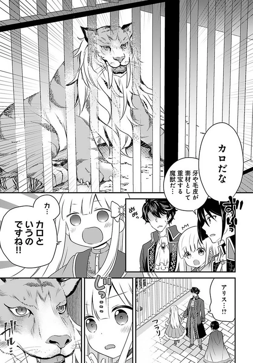 転生したら乙女ゲーの世界？ いえ、魔術を極めるのに忙しいのでそういうのは結構です。 第21.1話 - Trang 5