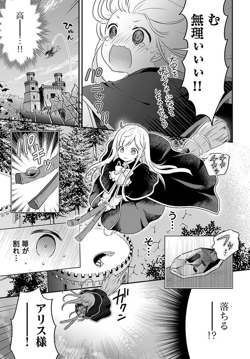 転生したら乙女ゲーの世界？ いえ、魔術を極めるのに忙しいのでそういうのは結構です。 第24.3話 - Trang 5