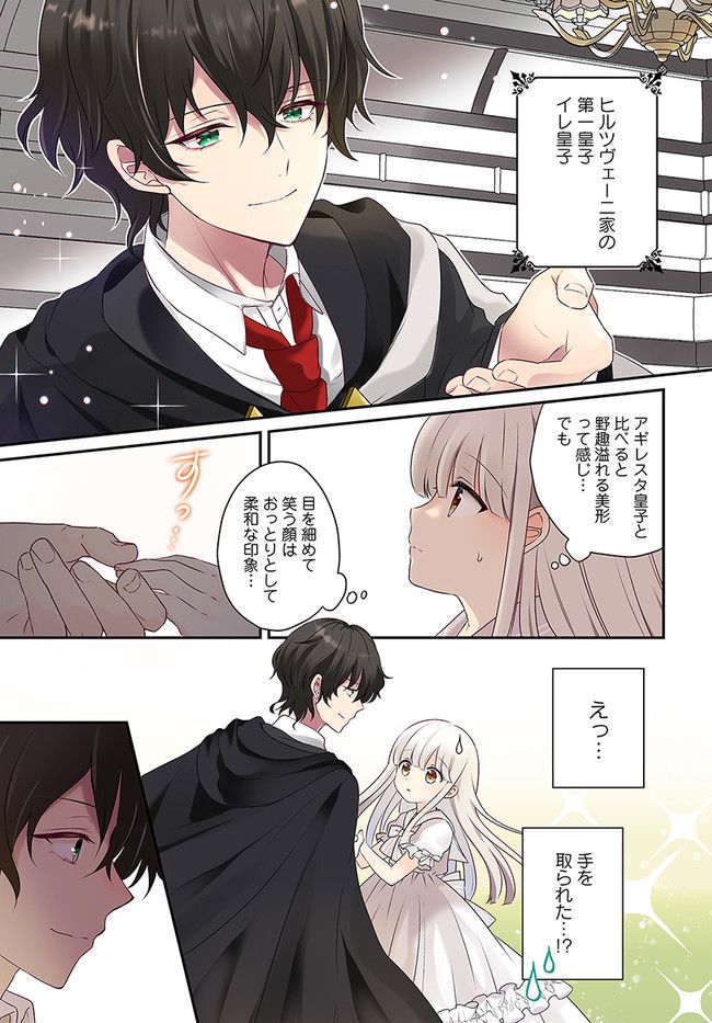 転生したら乙女ゲーの世界？ いえ、魔術を極めるのに忙しいのでそういうのは結構です。 第30.1話 - Trang 1