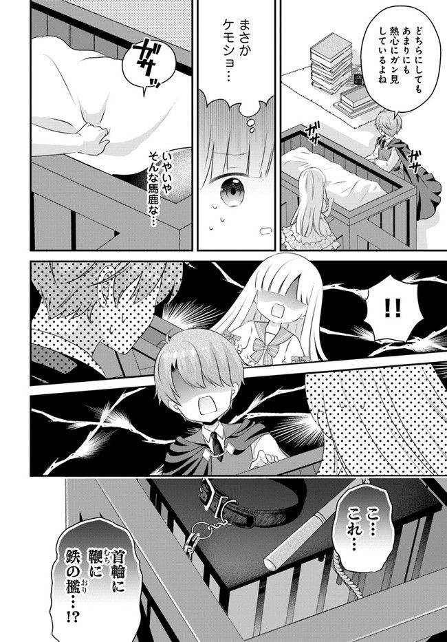転生したら乙女ゲーの世界？ いえ、魔術を極めるのに忙しいのでそういうのは結構です。 第30.3話 - Trang 5