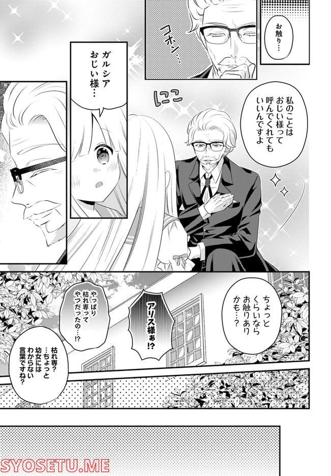 転生したら乙女ゲーの世界？ いえ、魔術を極めるのに忙しいのでそういうのは結構です。 第31.2話 - Trang 3