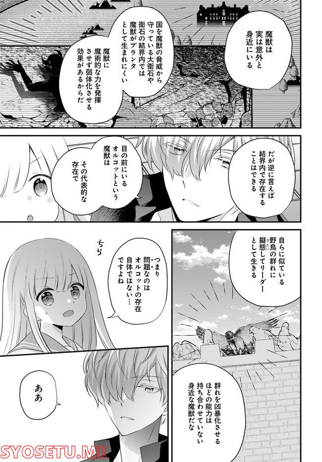 転生したら乙女ゲーの世界？ いえ、魔術を極めるのに忙しいのでそういうのは結構です。 第31.4話 - Trang 3