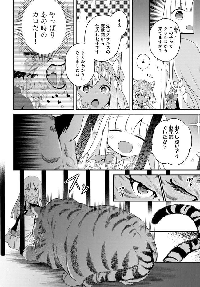 転生したら乙女ゲーの世界？ いえ、魔術を極めるのに忙しいのでそういうのは結構です。 第32.3話 - Trang 8