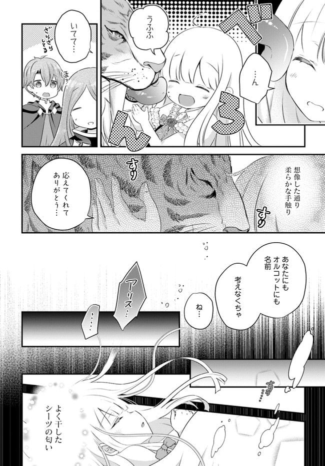 転生したら乙女ゲーの世界？ いえ、魔術を極めるのに忙しいのでそういうのは結構です。 第33.1話 - Trang 6