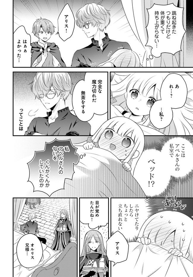 転生したら乙女ゲーの世界？ いえ、魔術を極めるのに忙しいのでそういうのは結構です。 第33.1話 - Trang 8