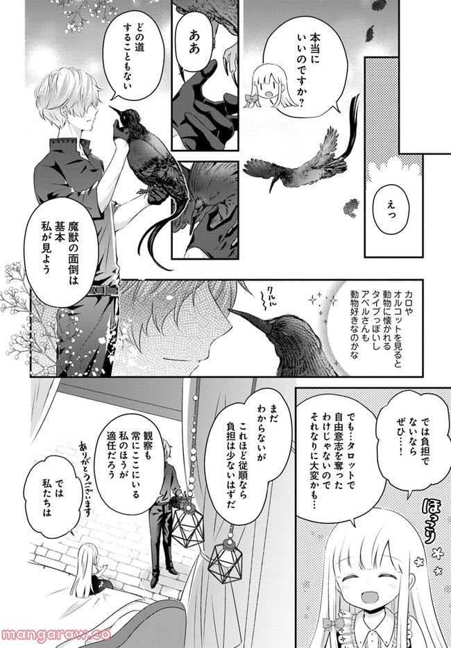 転生したら乙女ゲーの世界？ いえ、魔術を極めるのに忙しいのでそういうのは結構です。 第33.2話 - Trang 6