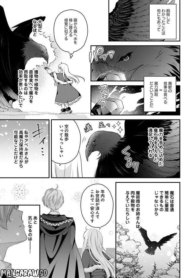 転生したら乙女ゲーの世界？ いえ、魔術を極めるのに忙しいのでそういうのは結構です。 第34.4話 - Trang 3