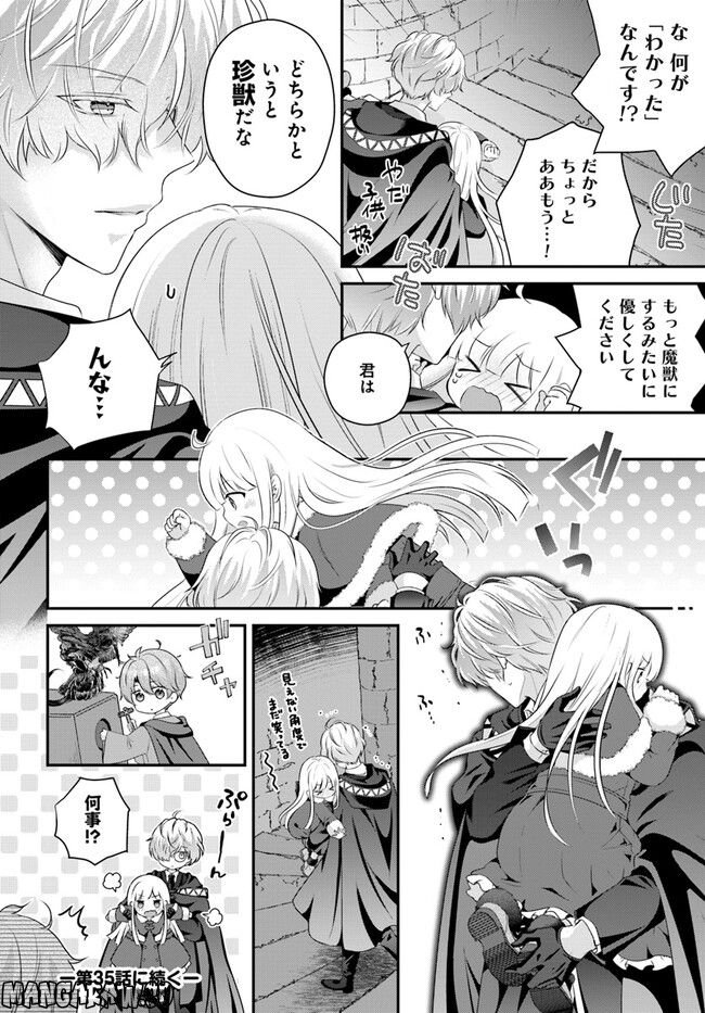 転生したら乙女ゲーの世界？ いえ、魔術を極めるのに忙しいのでそういうのは結構です。 第34.4話 - Trang 8