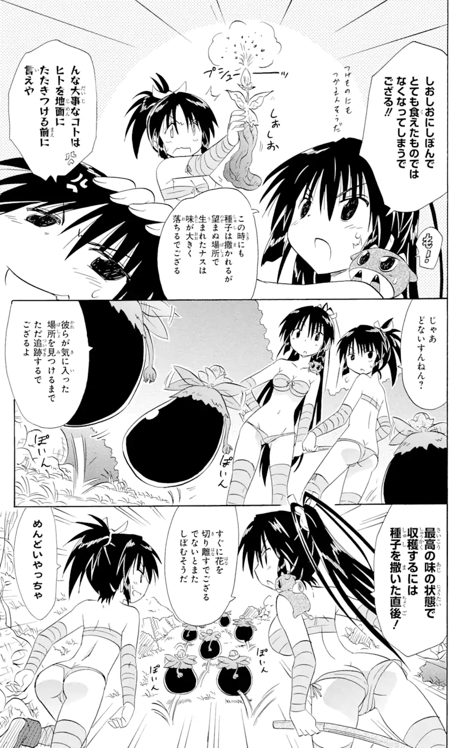 ながされて藍蘭島 - 第162話 - Page 23