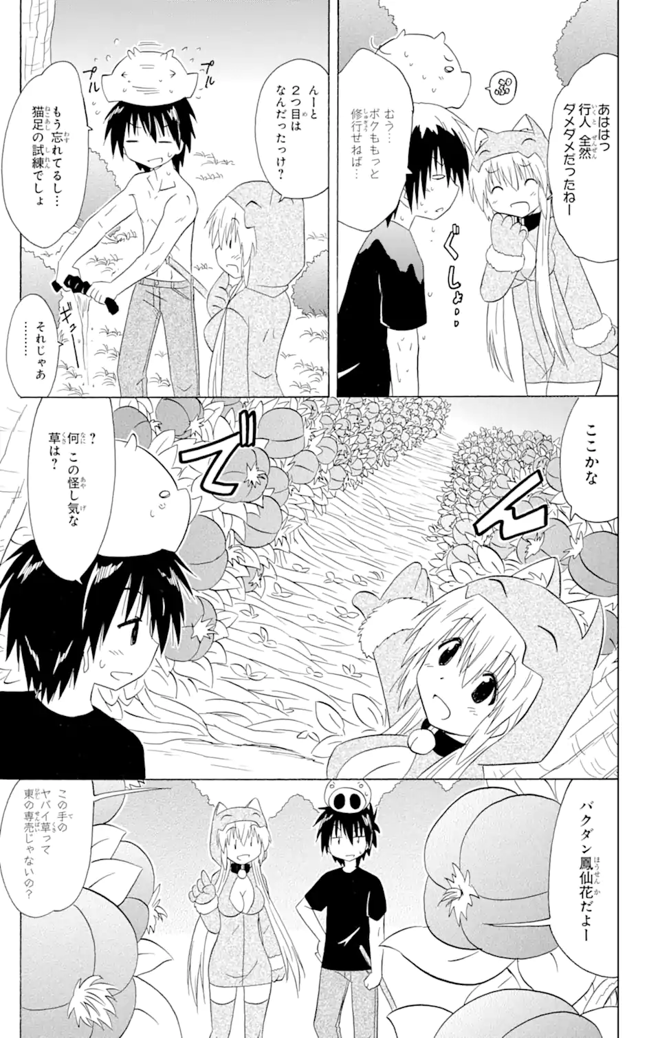 ながされて藍蘭島 - 第204話 - Page 15