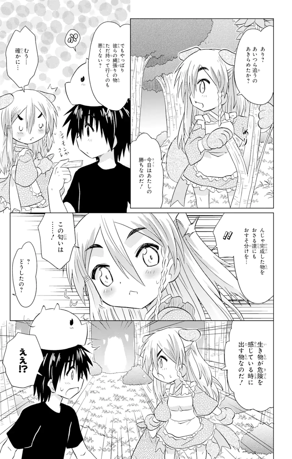 ながされて藍蘭島 - 第221話 - Page 17