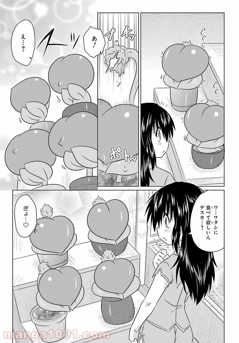 ながされて藍蘭島 - 第236話 - Page 21