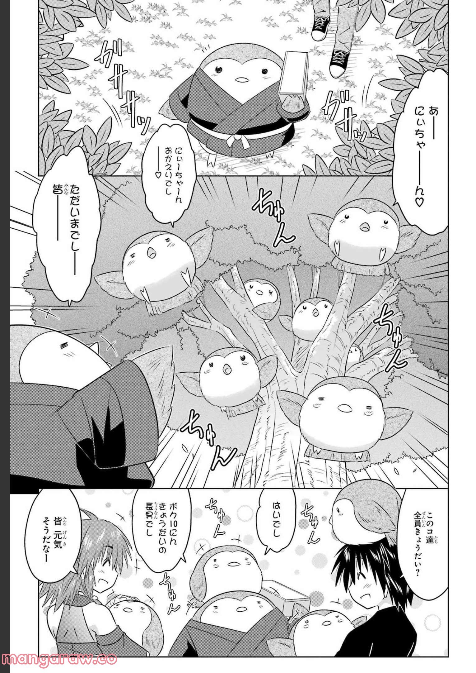 ながされて藍蘭島 - 第245話 - Page 14