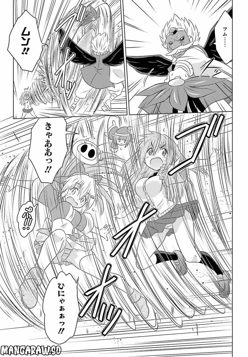 ながされて藍蘭島 - 第249話 - Page 19