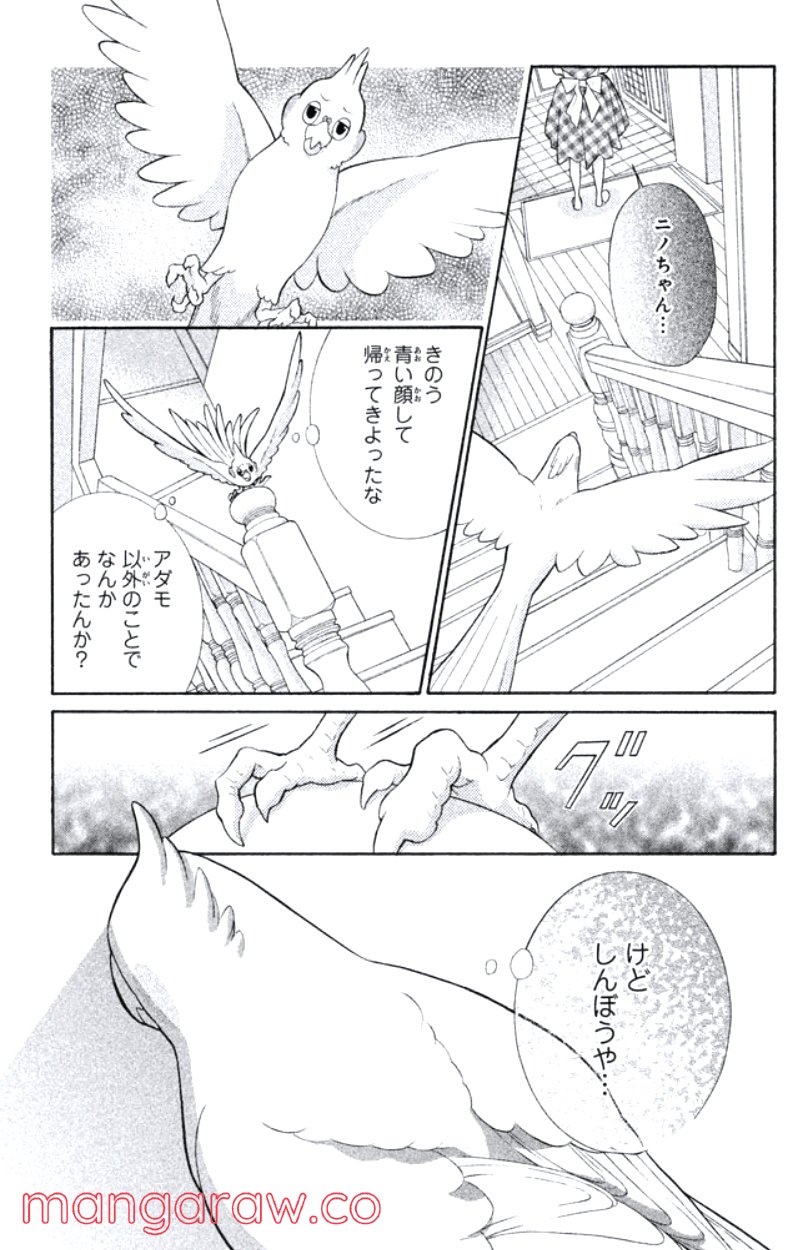 きょうのキラ君 第31.34話 - Trang 30